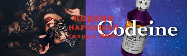 шишки Касимов